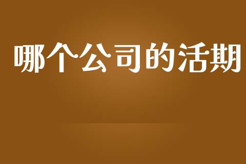 哪个公司的活期_https://wap.fansifence.com_外汇交易_第1张