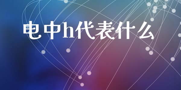 电中h代表什么_https://wap.fansifence.com_今日财经_第1张