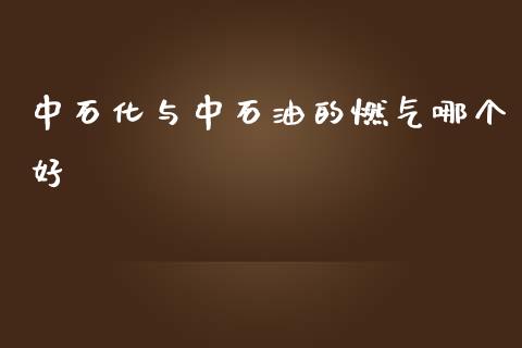 中石化与中石油的燃气哪个好_https://wap.fansifence.com_投资理财_第1张