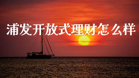 浦发开放式理财怎么样_https://wap.fansifence.com_今日财经_第1张