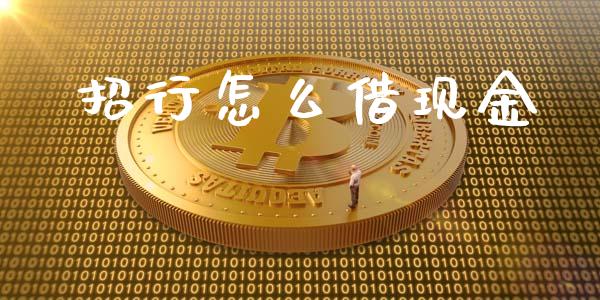 招行怎么借现金_https://wap.fansifence.com_外汇交易_第1张