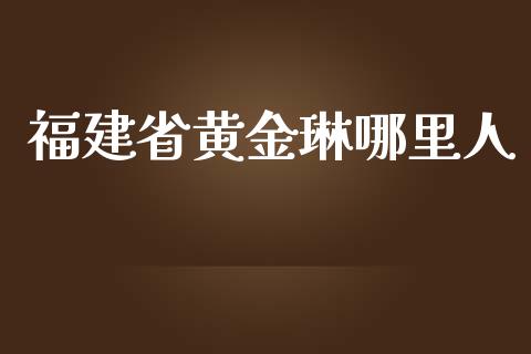 福建省黄金琳哪里人_https://wap.fansifence.com_今日财经_第1张