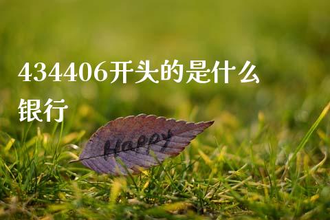 434406开头的是什么银行_https://wap.fansifence.com_投资理财_第1张