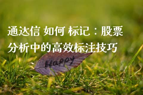 通达信 如何 标记：股票分析中的高效标注技巧_https://wap.fansifence.com_今日财经_第1张