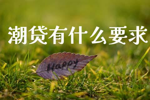 潮贷有什么要求_https://wap.fansifence.com_今日财经_第1张