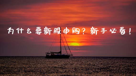 为什么要新股申购？新手必看！_https://wap.fansifence.com_今日财经_第1张