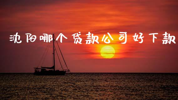 沈阳哪个贷款公司好下款_https://wap.fansifence.com_外汇交易_第1张