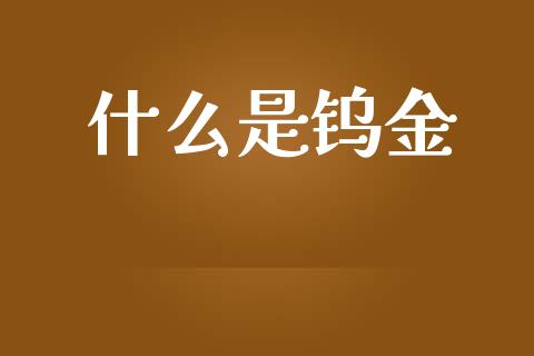 什么是钨金_https://wap.fansifence.com_投资理财_第1张