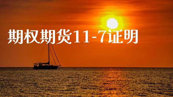 期权期货11-7证明_https://wap.fansifence.com_外汇交易_第1张