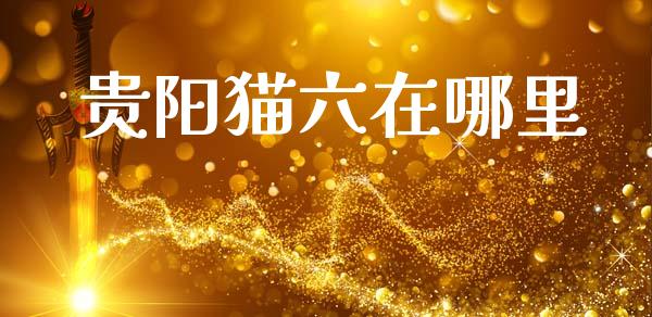 贵阳猫六在哪里_https://wap.fansifence.com_债券投资_第1张