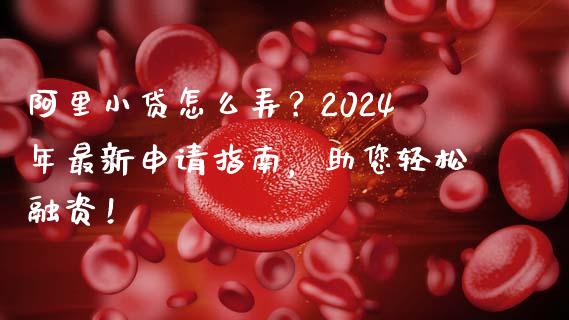 阿里小贷怎么弄？2024年最新申请指南，助您轻松融资！_https://wap.fansifence.com_今日财经_第1张