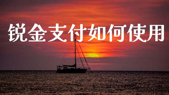锐金支付如何使用_https://wap.fansifence.com_外汇交易_第1张