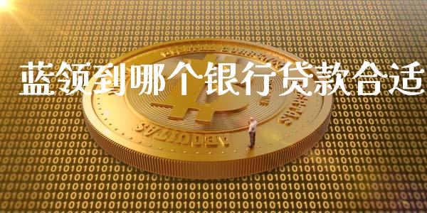 蓝领到哪个银行贷款合适_https://wap.fansifence.com_投资理财_第1张