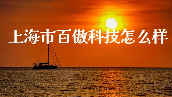 上海市百傲科技怎么样_https://wap.fansifence.com_债券投资_第1张