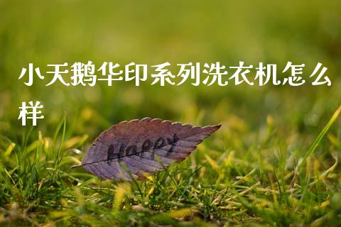 小天鹅华印系列洗衣机怎么样_https://wap.fansifence.com_债券投资_第1张
