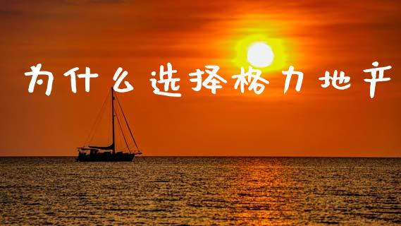 为什么选择格力地产_https://wap.fansifence.com_今日财经_第1张