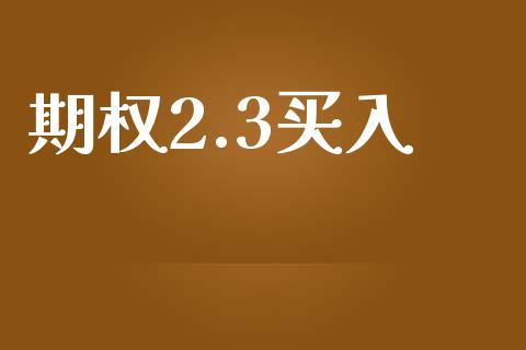 期权2.3买入_https://wap.fansifence.com_今日财经_第1张