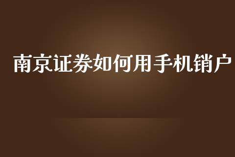 南京证券如何用手机销户_https://wap.fansifence.com_外汇交易_第1张