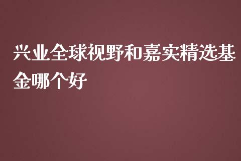 兴业全球视野和嘉实精选基金哪个好_https://wap.fansifence.com_投资理财_第1张